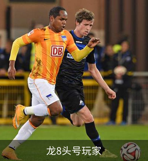 龙8头号玩家简介